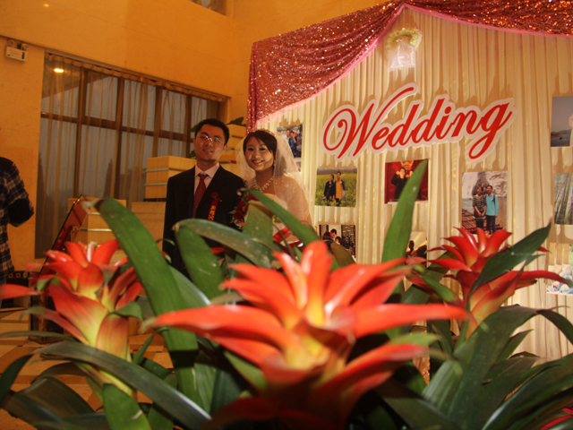 ��鵱��Ӱ��