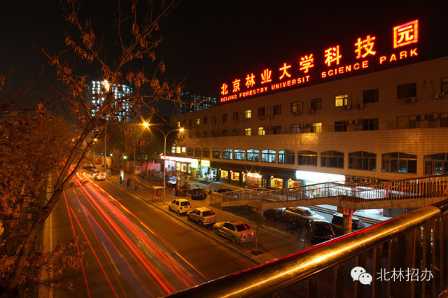 北京林业大学夜景—科贸楼