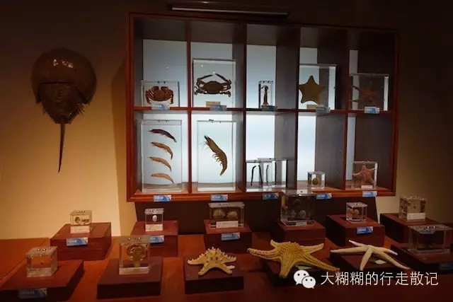 北京林业大学博物馆（标本馆）内景