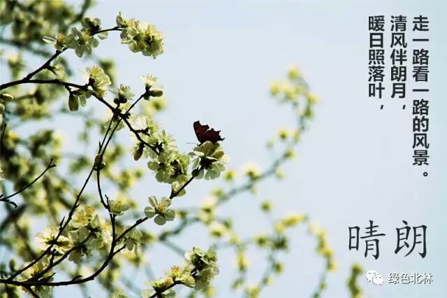 北京林业大学的九宫格新春祝福