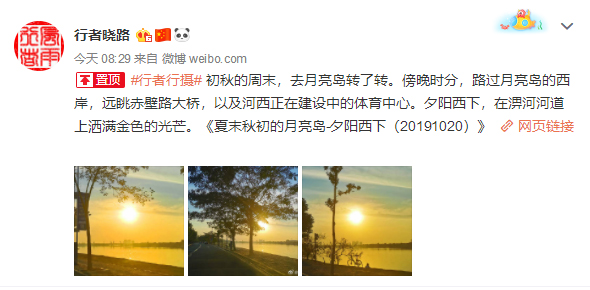 盗图者说