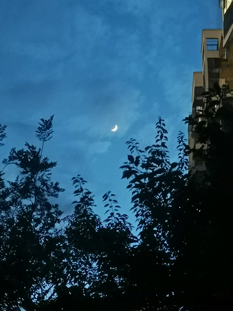 月明星稀（20250629）