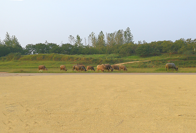 丰收的颜色（20180915）