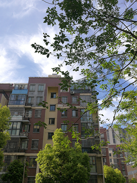 初夏时节·欧洲城（20190418-21）