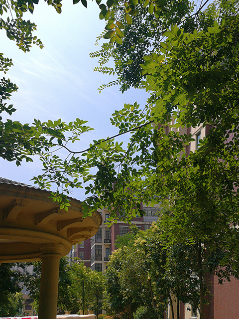 夏日小景-欧洲城（20190608）