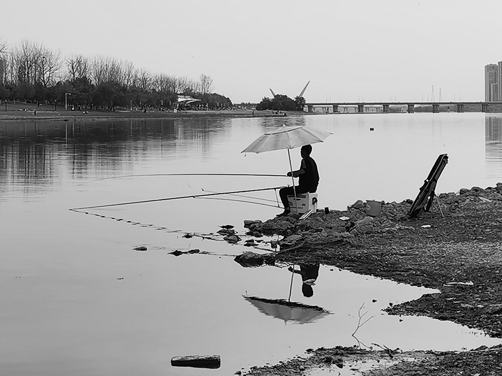 垂钓·气定神闲（20200321）