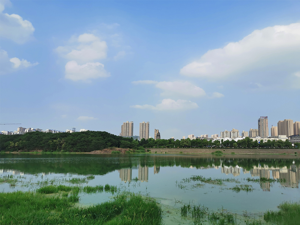 六安-淠河下龙爪（20200530）